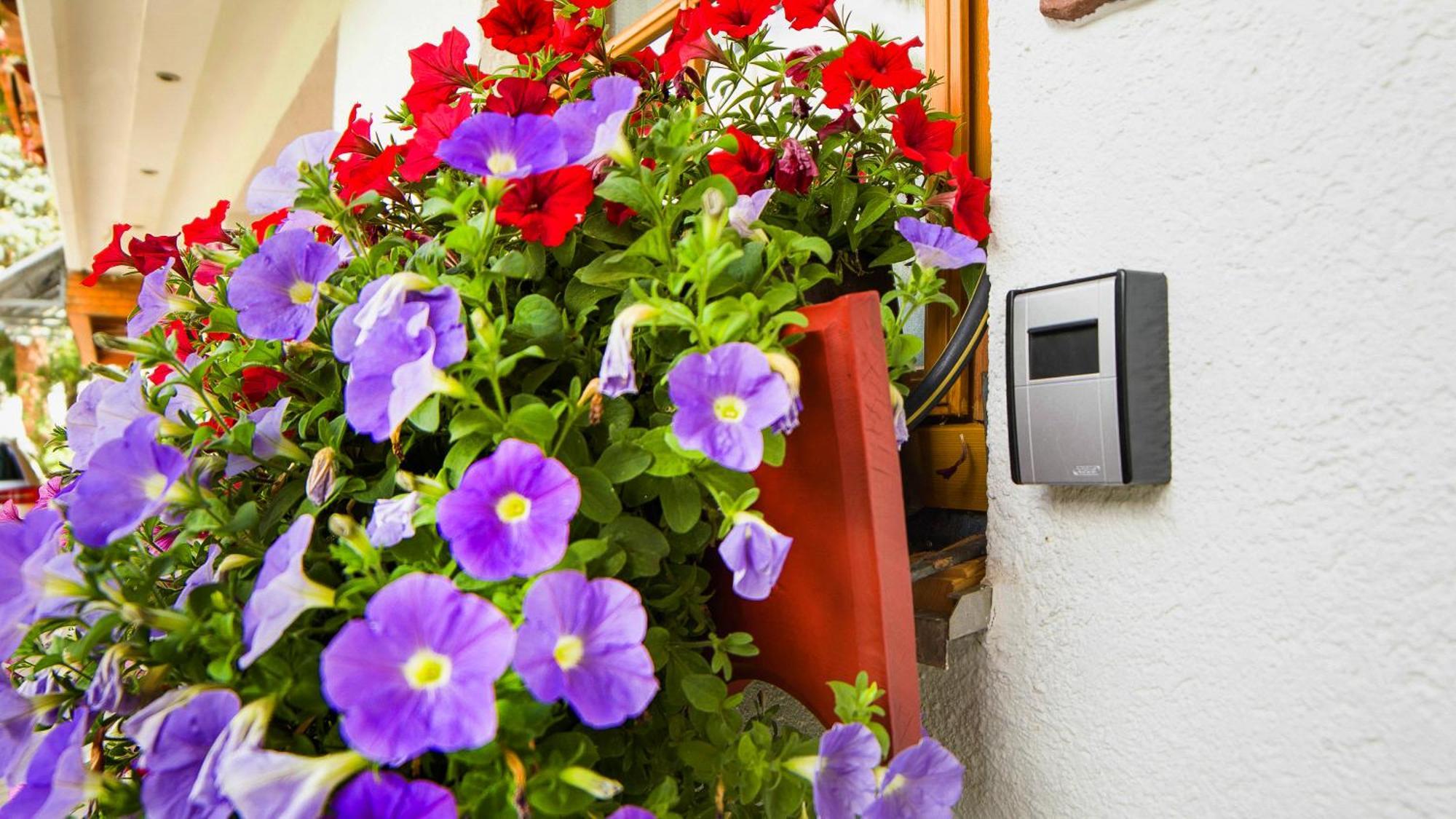 Ferienwohnung Haus Maria Brinkhus Schonach im Schwarzwald Exterior foto